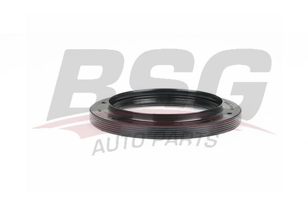 BSG 30116130 Aks Keçesi Arka