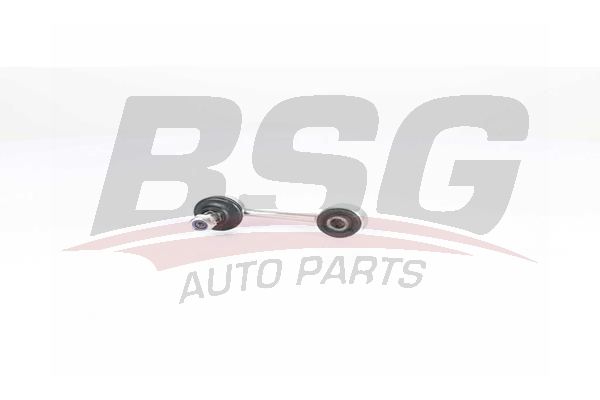 BSG 40310145 Viraj Askı Rotu Arka