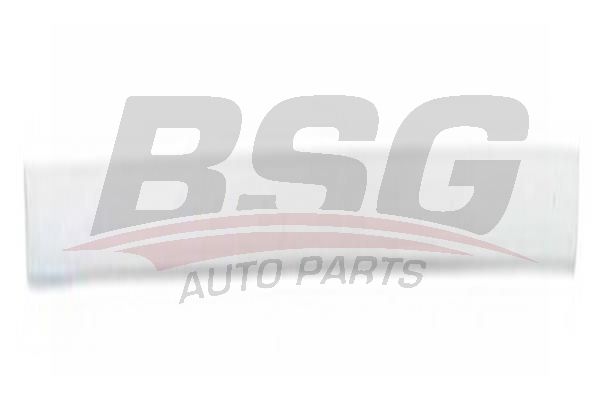 BSG 65925001 Kapı Bandı Ön Sol