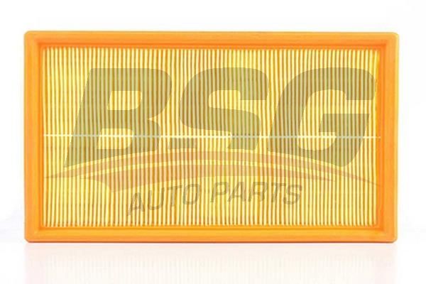 BSG 90135007 Hava Filtresi - . Görsel