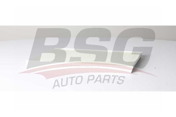 BSG 90145024 Polen Filtresi - 1. Görsel