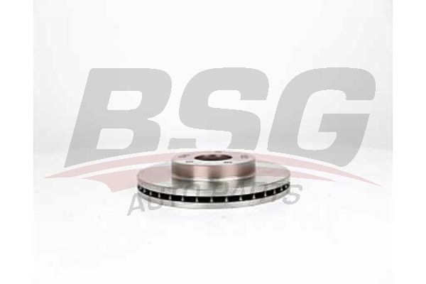 BSG 40210044 Fren Diski Ön