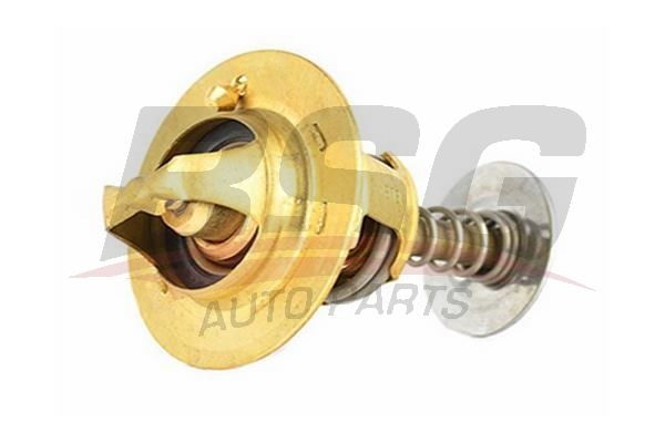 BSG 30125019 Termostat