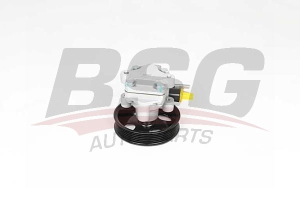 BSG 40355001 Direksiyon Pompası
