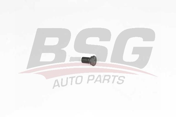 BSG 15230001 Karter Tapası