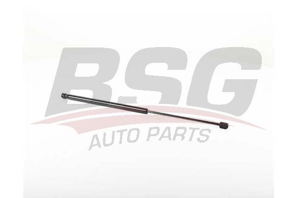 BSG 60980029 Kaput Amortisörü Sol