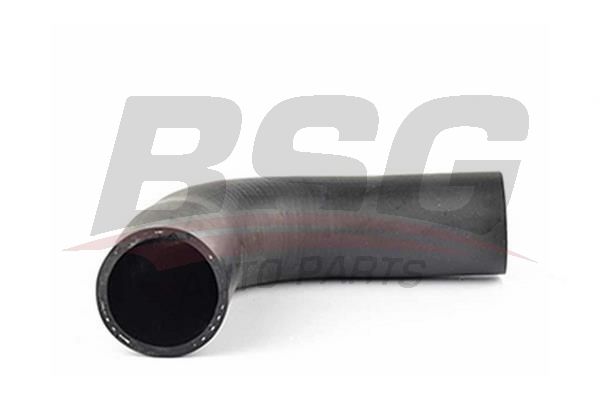 BSG 90720055 Turbo Hortumu - . Görsel