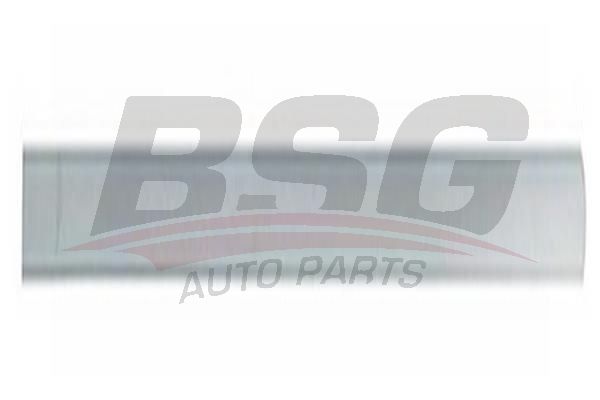BSG 30924048 Kapı Bandı Arka Sağ