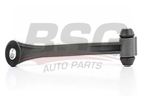 BSG 60310166 Viraj Askı Rotu Arka