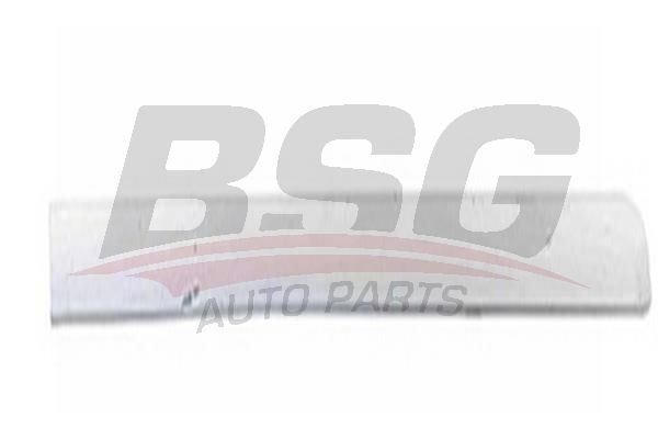 BSG 65925026 Kapı Bandı Arka Sağ