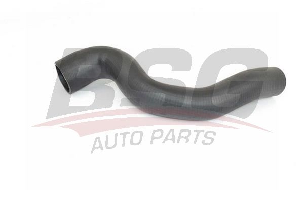 BSG 15720110 Turbo Hortumu - . Görsel