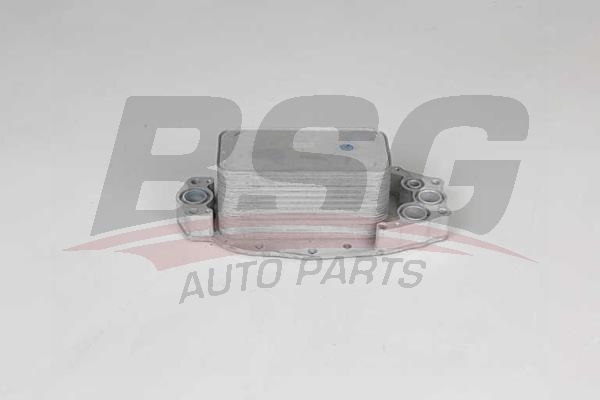 BSG 15506035 Yağ Soğutucusu