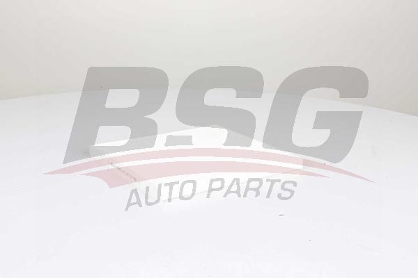 BSG 40145019 Polen Filtresi - . Görsel