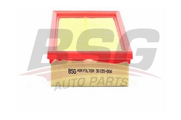 BSG 30135006 Hava Filtresi