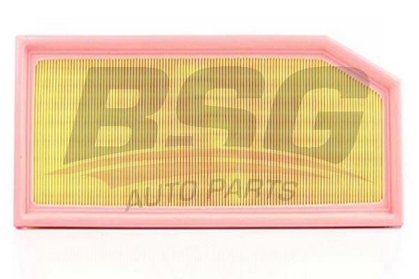 BSG 60135008 Hava Filtresi