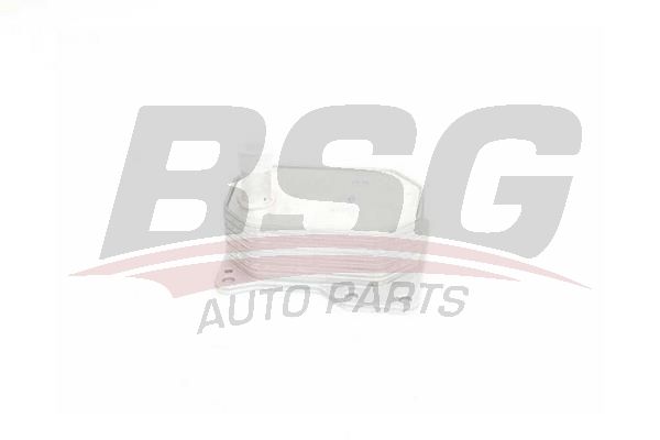 BSG 30506004 Yağ Soğutucu Radyatörü