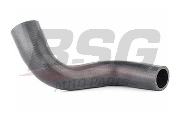 BSG 16720015 Radyatör Hortumu Alt - . Görsel