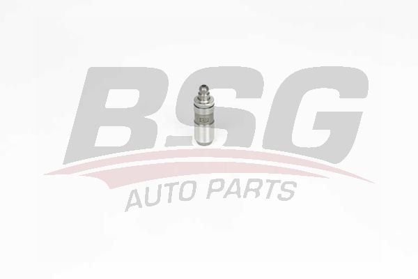 BSG 40122028 Supap Itıcısı
