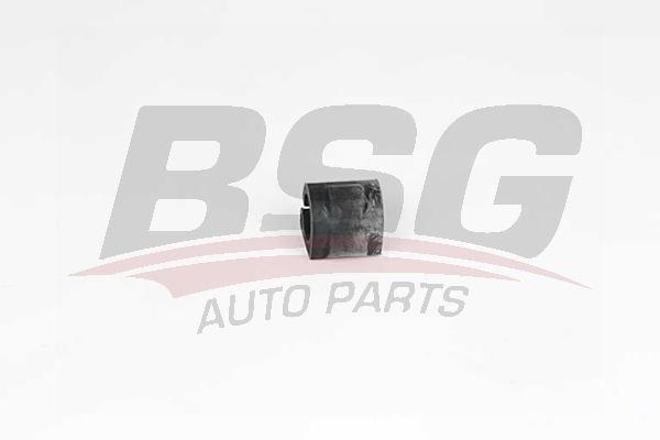 BSG 75700051 Viraj Demir Lastiği Ön