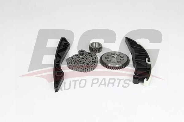 BSG 40102002 Eksantrik Zincir Seti