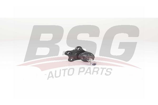 BSG 75310049 Rotil Alt - . Görsel