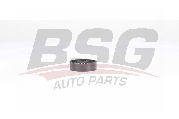 BSG 25615001 V Kayış Gergi Rulmanı