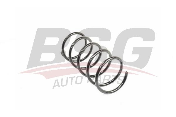 BSG 70305002 Helezon Yayı Ön