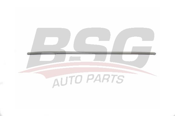 BSG 90924042 Kapı Bandı Ön Sağ