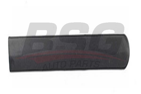 BSG 65924028 Kapı Bandı Arka Sol