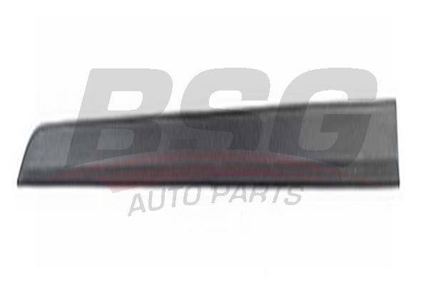BSG 65925042 Kapı Bandı Ön Sol