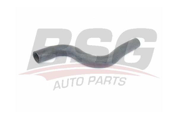 BSG 25720014 Radyatör Hortumu Üst - . Görsel