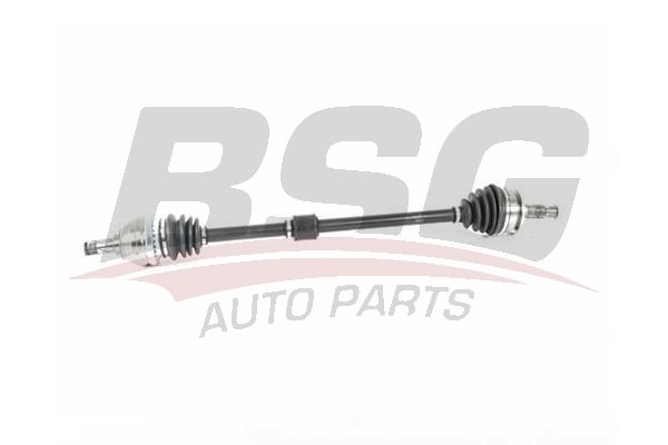 BSG 65350044 Aks Komple Ön Sağ