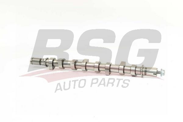 BSG 75108003 Eksantrik Mili