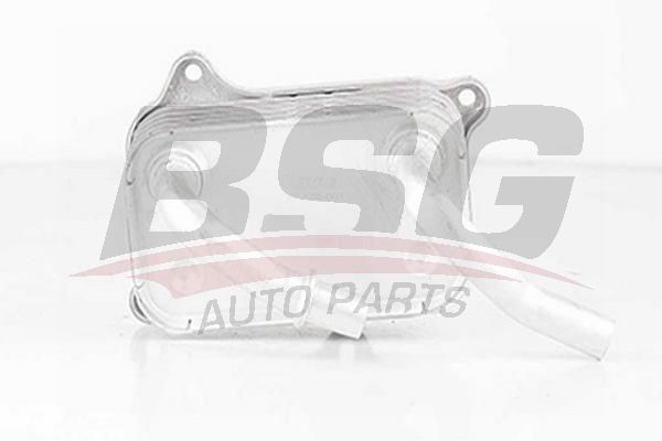 BSG 60506001 Yağ Soğutucu Radyatörü