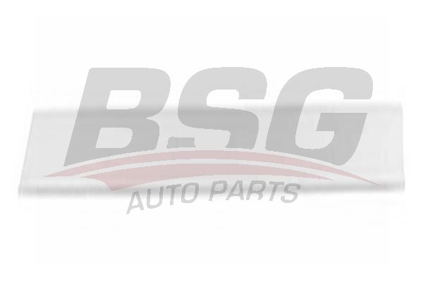 BSG 65924008 Kapı Bandı Arka Sol