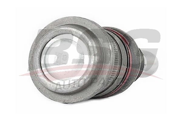 BSG 40310086 Rotil Alt