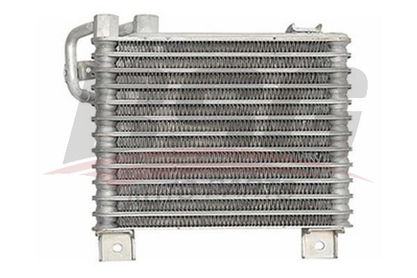 BSG 40506004 Yağ Soğutucusu