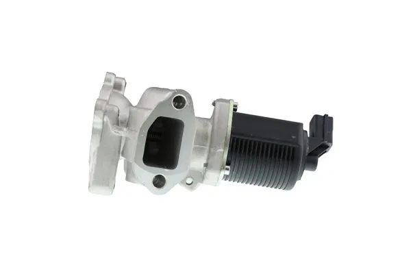Egr Valfi  AISIN EGRAZ-7007