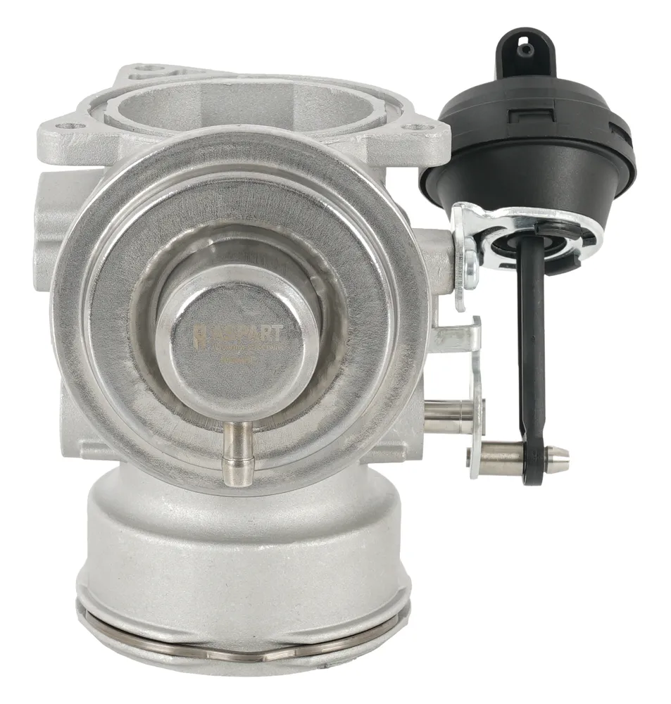 Egr Valfi  ASPART 5EVA1055