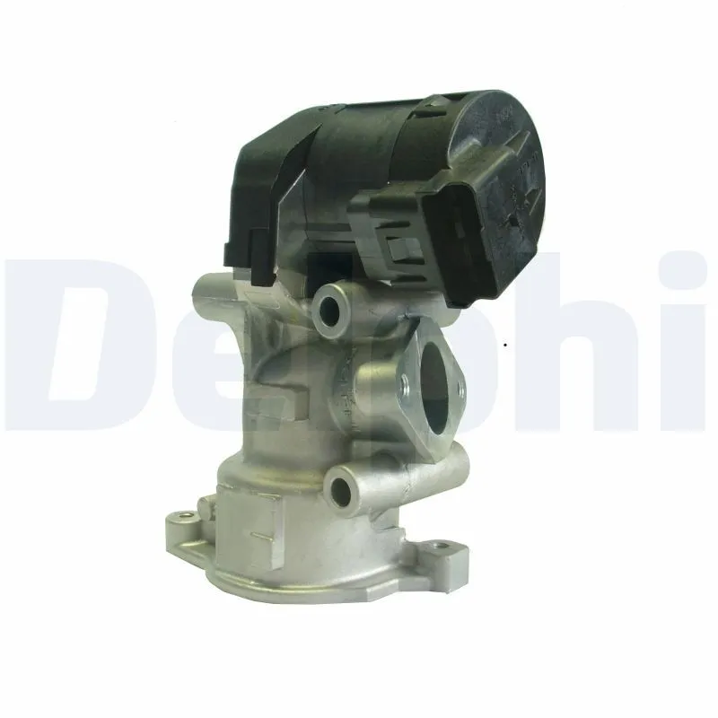 Egr Valfi  DELPHI EG10395-12B1