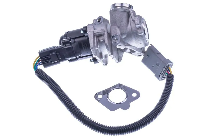Egr Valfi  FEBI BILSTEIN 36750
