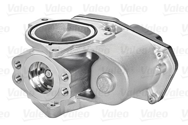 VALEO 700424 Egr Valfi Audi Seat Dodge Jeep 68021528AA 03G131501 - . Görsel