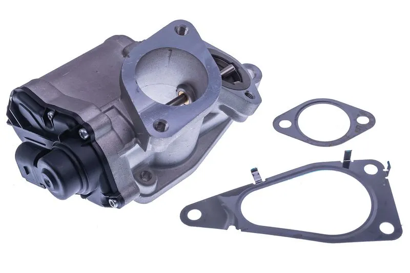 Egr Valfi  HELLA 6NU 010 864-121