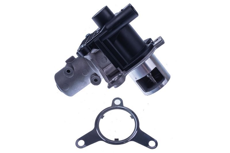 Egr Valfi  KRAFTVOLL 12050258