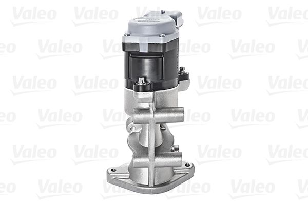 VALEO 700423 Egr Valfi Sağ - . Görsel