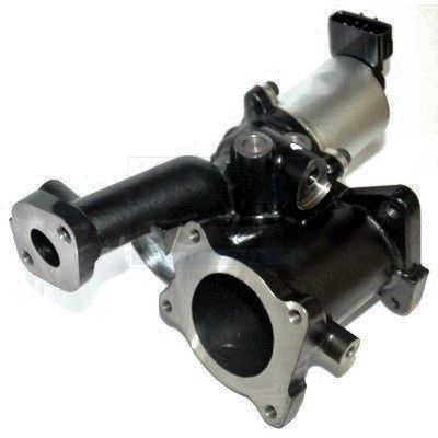Egr Valfi  WAHLER 712066D