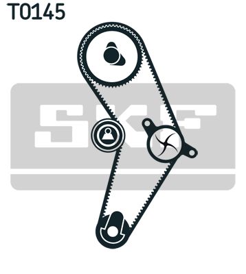SKF 02206 Eksantrik Gergi Kiti - . Görsel