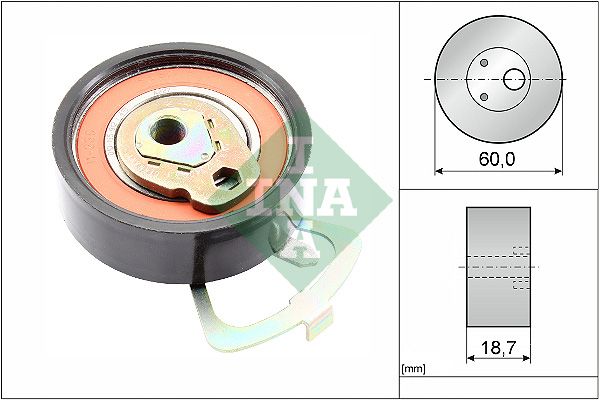 INA 531033910 Eksantrik Gergi Rulmanı