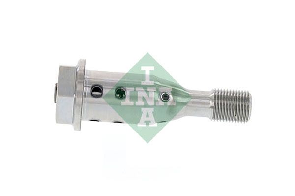 INA 427002110 Vanos Civatası