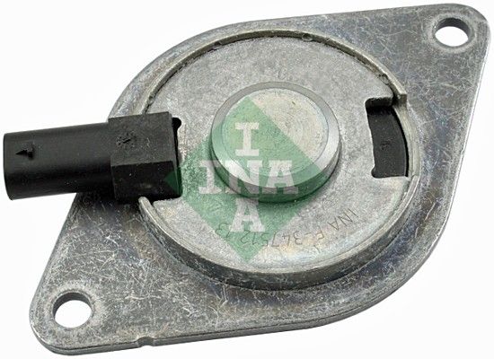 INA 427001810 Eksantrik Valfi